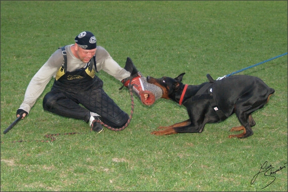 Summer training camp - Jelenec - 2007